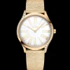 36 mm, Moonshine™ gold on Moonshine™ gold^OMEGA Hot