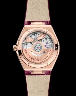 34 mm, Sedna™ gold on leather strap^OMEGA Hot