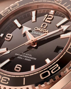 39.5 mm, Sedna™ gold on leather strap with rubber lining^OMEGA Discount
