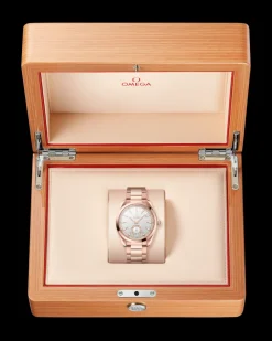 41 mm, Sedna™ gold on Sedna™ gold^OMEGA Hot