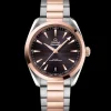 41 mm, steel ‑ Sedna™ gold on steel ‑ Sedna™ gold^OMEGA Fashion