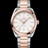 41 mm, steel ‑ Sedna™ gold on steel ‑ Sedna™ gold^OMEGA Online