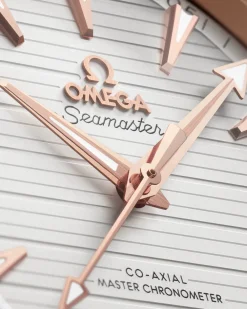 41 mm, steel ‑ Sedna™ gold on steel ‑ Sedna™ gold^OMEGA Online