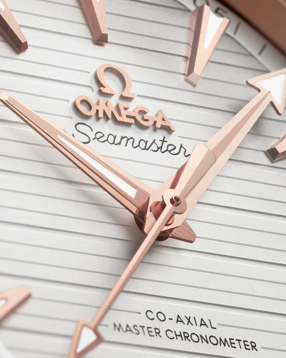 41 mm, steel ‑ Sedna™ gold on steel ‑ Sedna™ gold^OMEGA Online