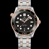 42 mm, steel ‑ Sedna™ gold on steel ‑ Sedna™ gold^OMEGA Best