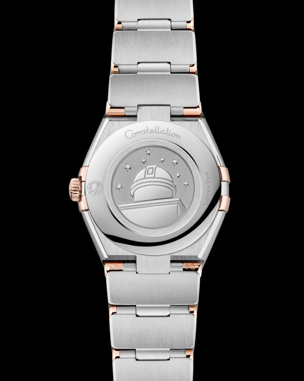 25 mm, steel ‑ Sedna™ gold on steel ‑ Sedna™ gold^OMEGA Online