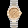 29 mm, steel ‑ yellow gold on steel ‑ yellow gold^OMEGA Hot