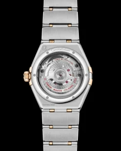 29 mm, steel ‑ yellow gold on steel ‑ yellow gold^OMEGA Hot