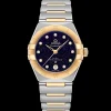 29 mm, steel ‑ yellow gold on steel ‑ yellow gold^OMEGA Best