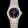 29 mm, steel ‑ yellow gold on steel ‑ yellow gold^OMEGA Best