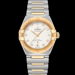 29 mm, steel ‑ yellow gold on steel ‑ yellow gold^OMEGA Online