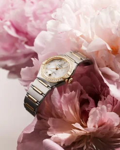 29 mm, steel ‑ yellow gold on steel ‑ yellow gold^OMEGA Fashion