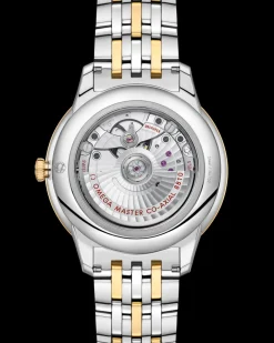 41 mm, steel ‑ yellow gold on steel ‑ yellow gold^OMEGA New
