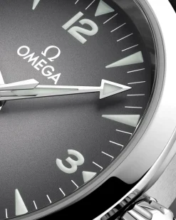38 mm, steel on leather strap^OMEGA Online