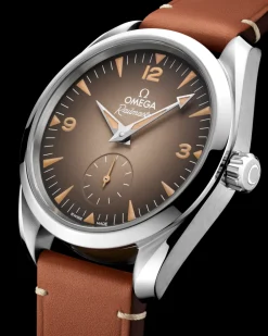 38 mm, steel on leather strap^OMEGA Online