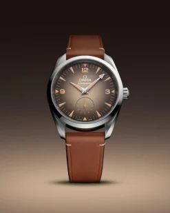 38 mm, steel on leather strap^OMEGA Online