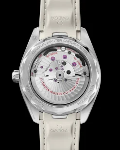 41 mm, steel on rubber strap^OMEGA Online