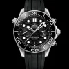 44 mm, steel on rubber strap^OMEGA New