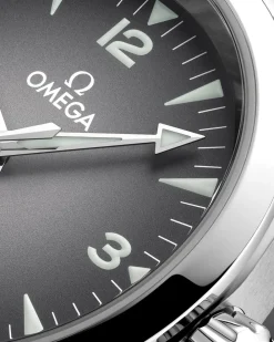 38 mm, steel on steel^OMEGA Fashion