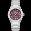 29 mm, steel on steel^OMEGA Online