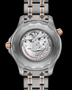 42 mm, titanium ‑ tantalum ‑ Sedna™ gold on titanium ‑ tantalum ‑ Sedna™ gold^OMEGA Online
