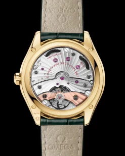 40 mm, yellow gold on leather strap^OMEGA Hot