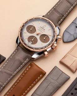 Taupe brown alligator leather strap with pin buckle^OMEGA Online